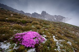  ghj 1. Platz im bayernweiten Fotowettbewerb "Natur im Fokus" 2014