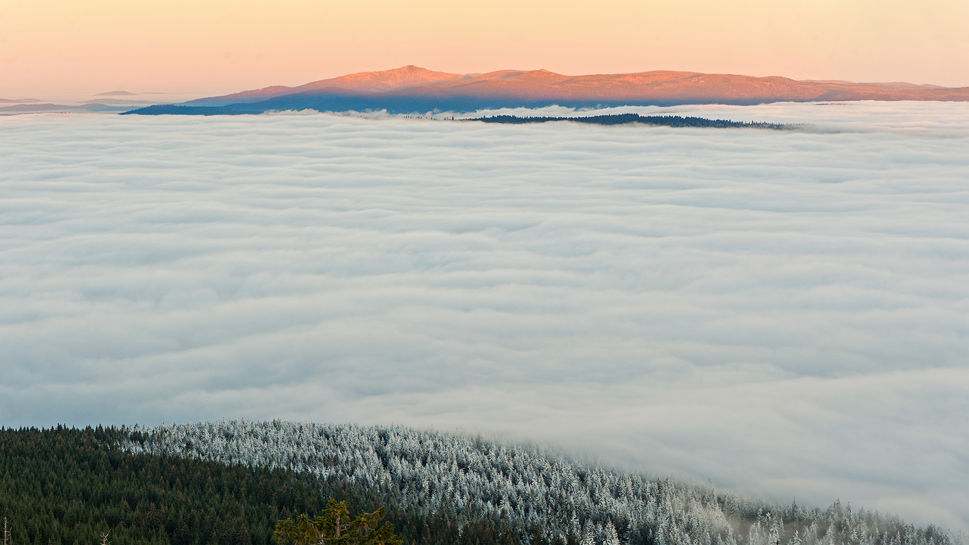 Read more about the article Morgenstunden im Bayerischen Wald